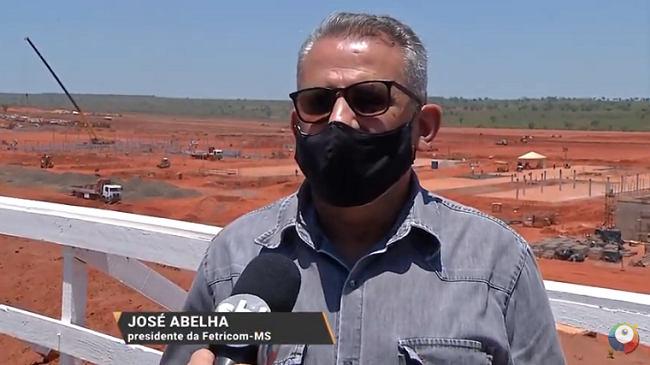 ABELHA VISITA OBRA DA FÁBRICA DA SUZANO EM RIBAS DO RIO PARDO